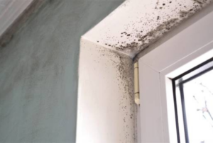 Mold spots from moisture and mold growth near a window frame inside a house
